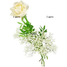 One White Rose
